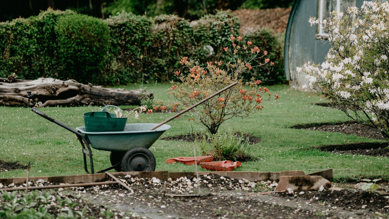 Bild für den Bereich Gartenbau