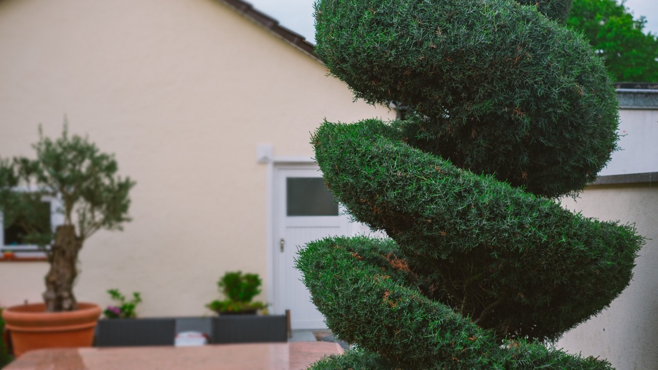 Bild für den Bereich Gartenpflege