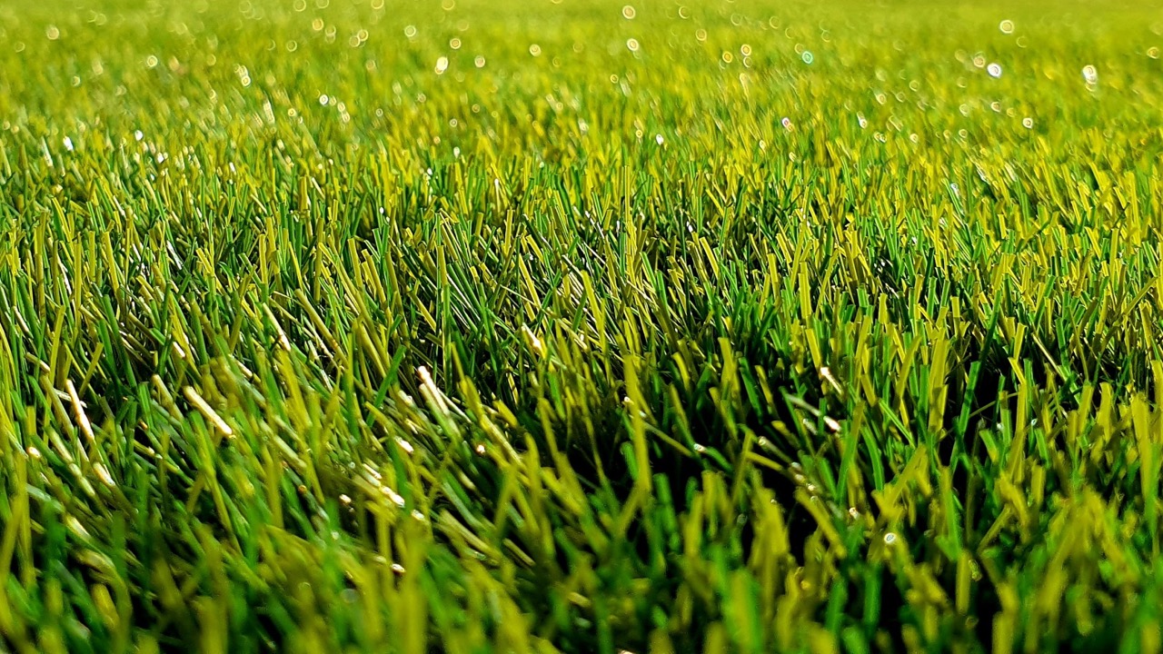 Bild für den Bereich Gartenpflege